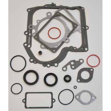 Briggs and Stratton gasket kit - 690189