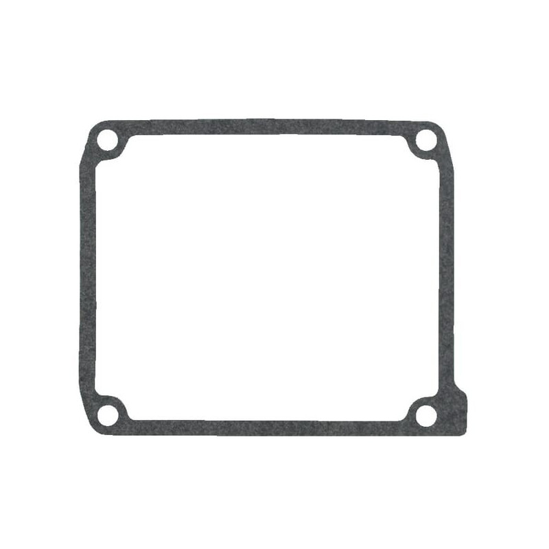 Kit guarnizione valvola Briggs et Stratton - 795200