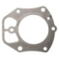 Junta da cabeça Briggs e Stratton - 809730