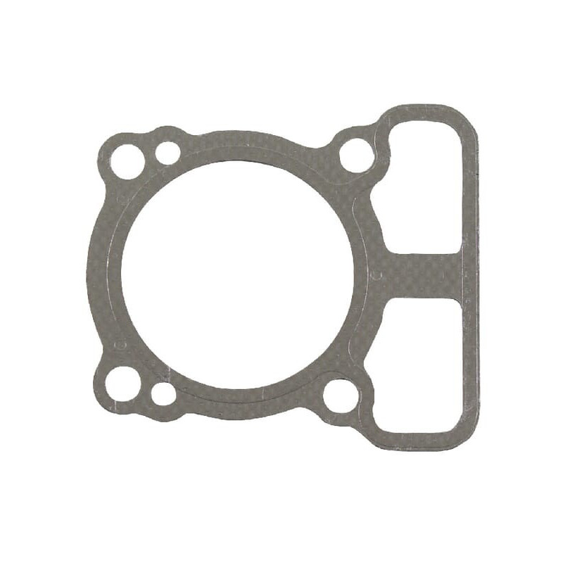 Zylinderkopfdichtung Briggs und Stratton - 793455