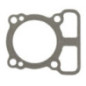 Zylinderkopfdichtung Briggs und Stratton - 793455