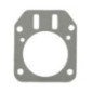 Zylinderkopfdichtung Briggs und Stratton - 791716