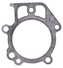 Guarnizione testa Briggs e Stratton - 697690