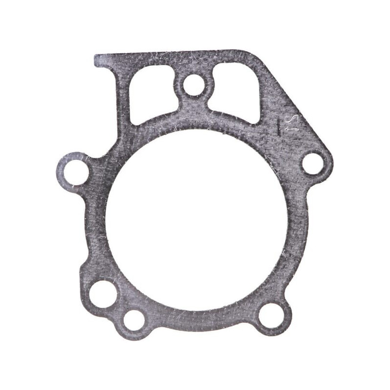 Zylinderkopfdichtung Briggs und Stratton - 697690