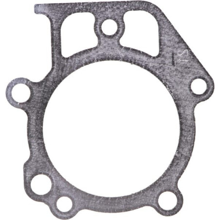 Guarnizione testa Briggs e Stratton - 697690