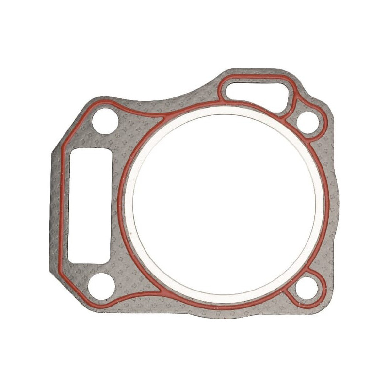 Guarnizione della testata Briggs e Stratton - 590606