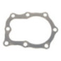 Guarnizione testata Briggs e Stratton - 272171