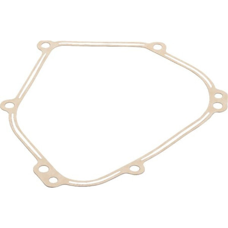 Briggs and Stratton crankcase gasket - 798462
