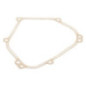 Briggs and Stratton Crankcase Gasket - 798462