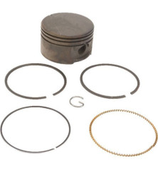 Piston Briggs et Stratton - 795429 - 799063 - 791097