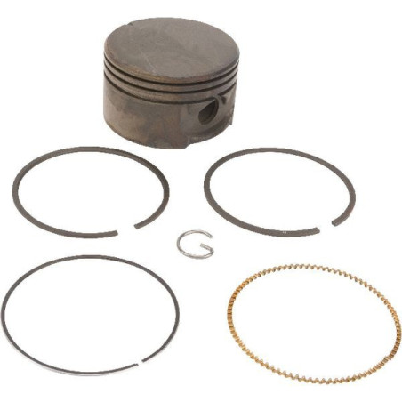 Piston Briggs et Stratton - 795429 - 799063 - 791097