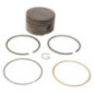 Zuiger Briggs en Stratton - 795429 - 799063 - 791097