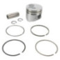 Pistón Briggs y Stratton - 825796