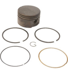 Piston Briggs et Stratton - 799063