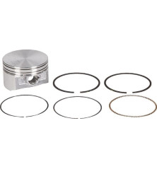 Piston Briggs et Stratton - 793647