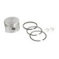 Kolben Briggs und Stratton - 499292