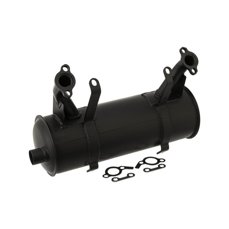 Escape Briggs y Stratton - 808705