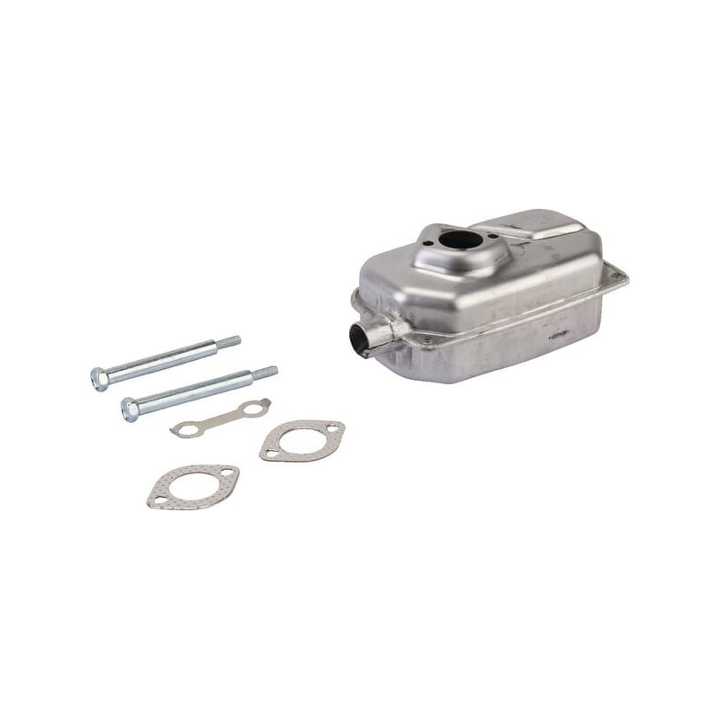 Auspuff Briggs und Stratton - 798940