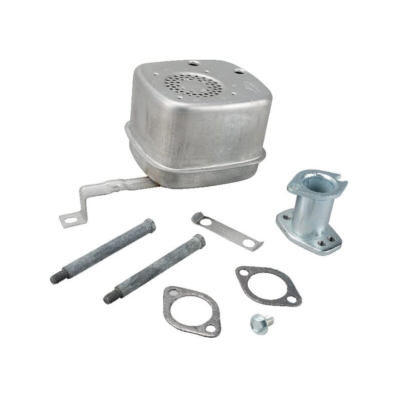 Auspuff Briggs und Stratton - 795998