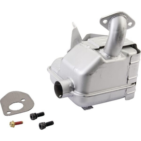 Escape Briggs y Stratton - 794949