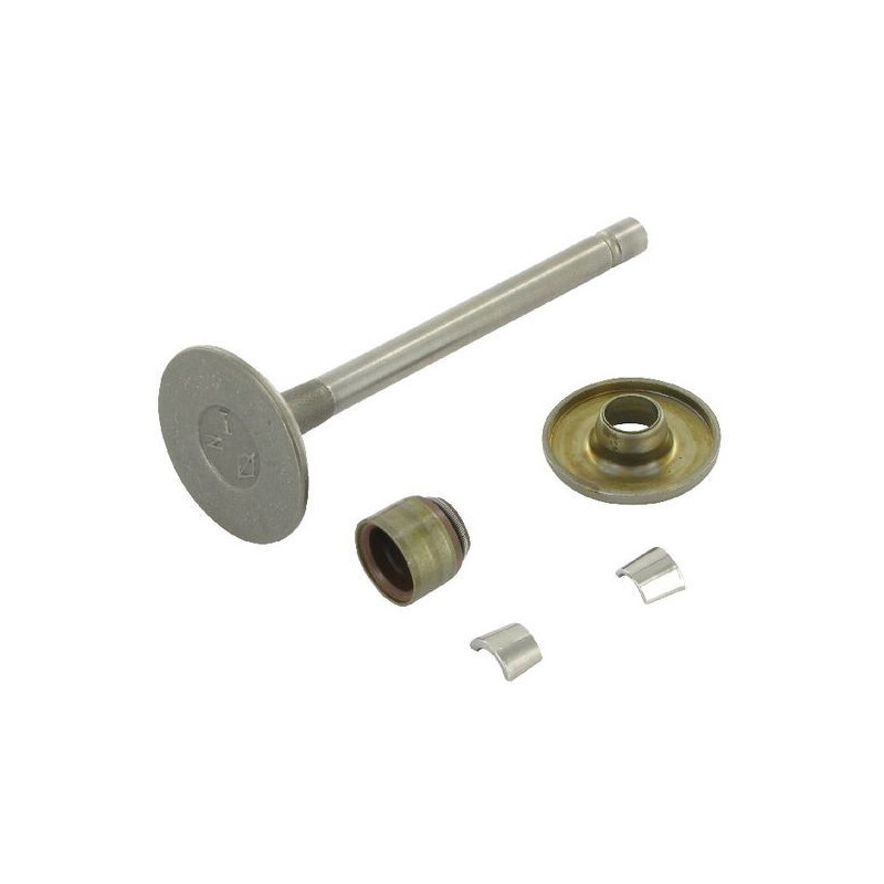Valvola di aspirazione Briggs et Stratton - 807680