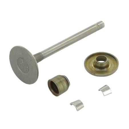 Válvula de admissão Briggs e Stratton - 807680