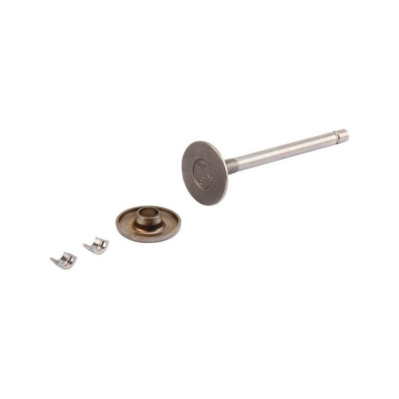 Auslassventil Briggs und Stratton - 807681