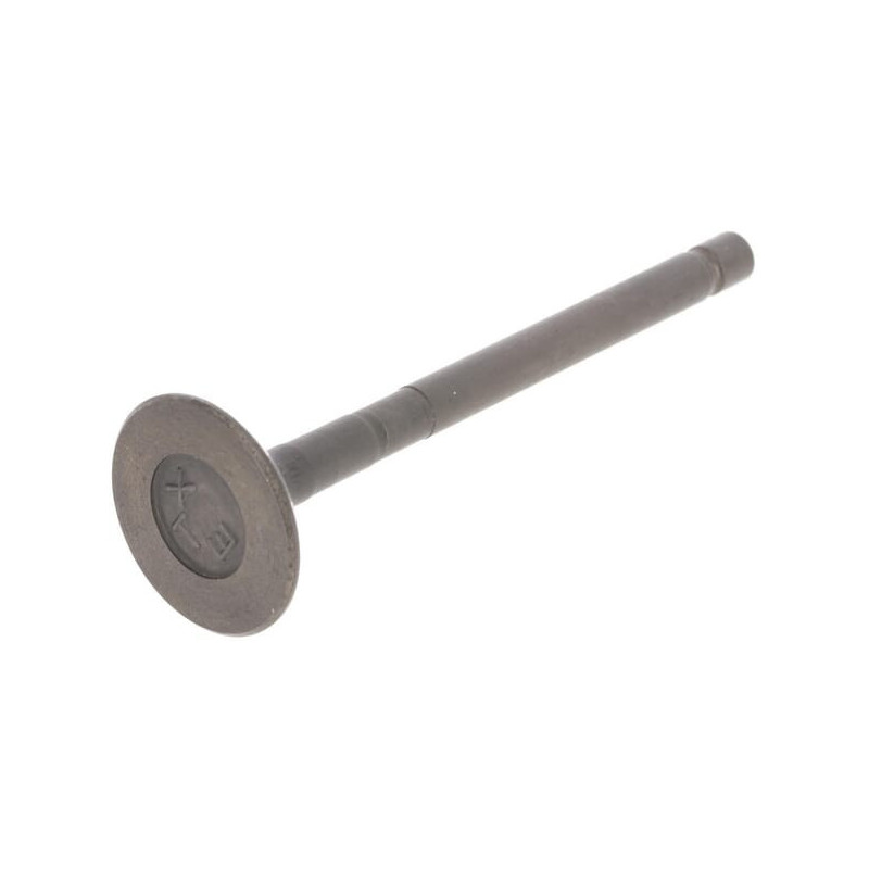 Válvula de escape Briggs e Stratton - 820404