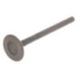 Briggs and Stratton exhaust valve - 820404
