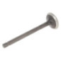 Briggs and Stratton exhaust valve - 820404