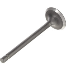 Briggs and Stratton exhaust valve - 820403