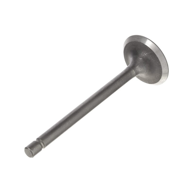Briggs and Stratton exhaust valve - 820403