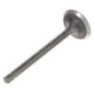 Briggs and Stratton exhaust valve - 820403