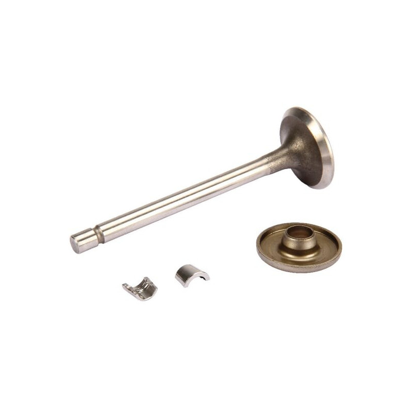 Válvula de escape Briggs y Stratton - 806419