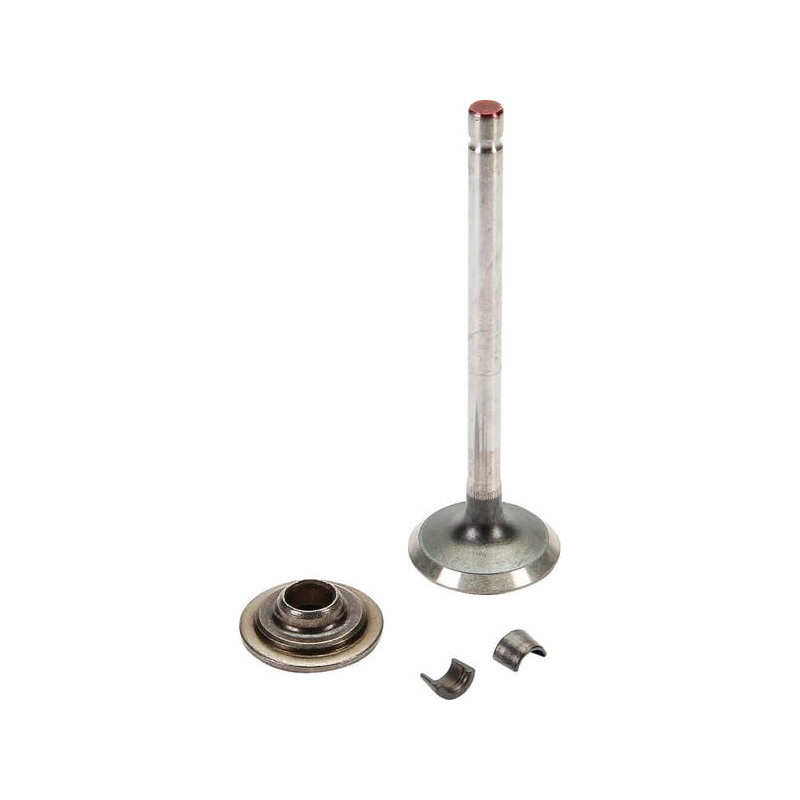 Briggs and Stratton Exhaust Valve - 697576