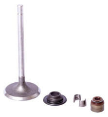Briggs and Stratton Intake Valve - 843730