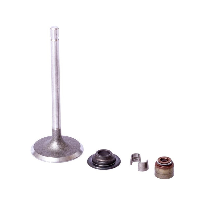 Valvola di aspirazione Briggs et Stratton - 843730
