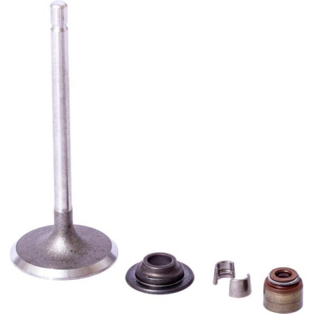 Briggs and Stratton Intake Valve - 843730