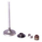 Briggs and Stratton Intake Valve - 843730