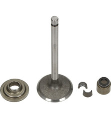 Válvula de admissão Briggs e Stratton - 792200