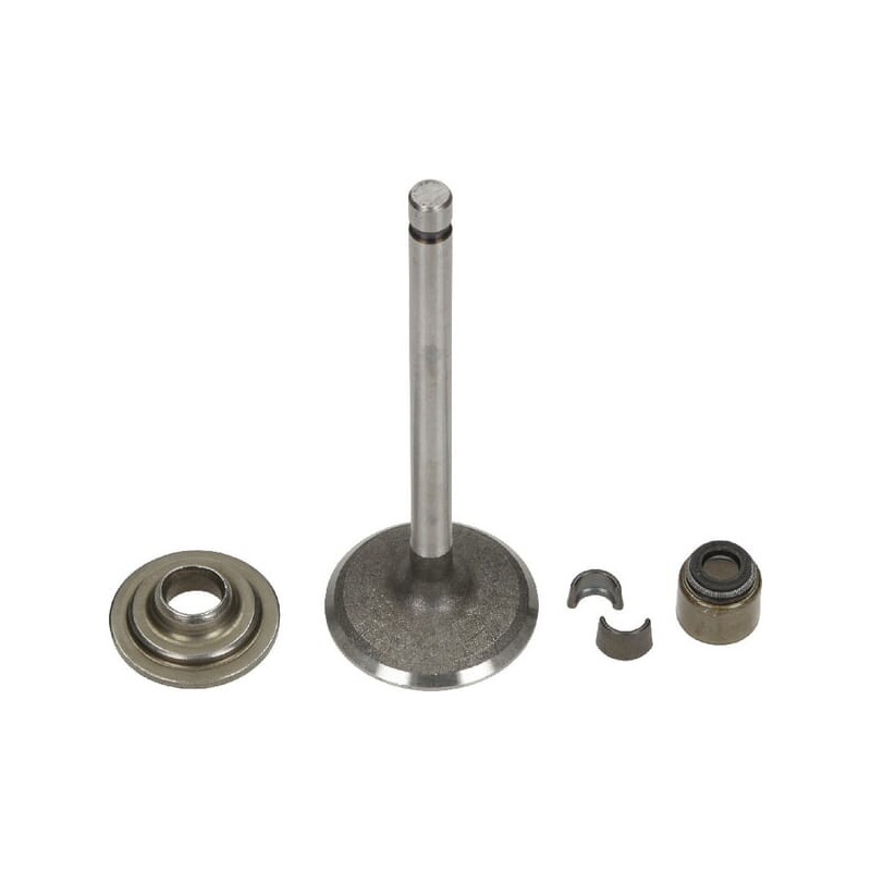 Valvola di aspirazione Briggs e Stratton - 792200