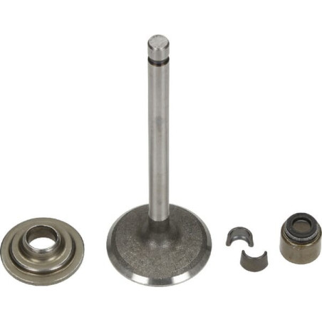 Válvula de admissão Briggs e Stratton - 792200