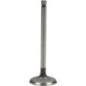 Briggs and Stratton Intake Valve - 792200