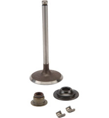 Válvula de admissão Briggs e Stratton - 716080