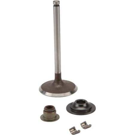 Válvula de admissão Briggs e Stratton - 716080