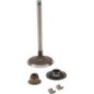 Valvola di aspirazione Briggs et Stratton - 716080