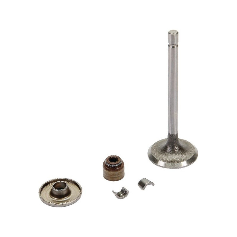Inlaatklep Briggs en Stratton - 843751