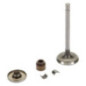 Inlaatklep Briggs en Stratton - 843751