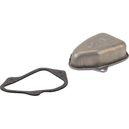 Briggs & Stratton-Ventildeckel – 595349