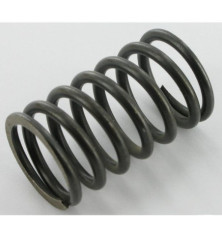 Briggs and Stratton Valve Spring - 692180 - 026478